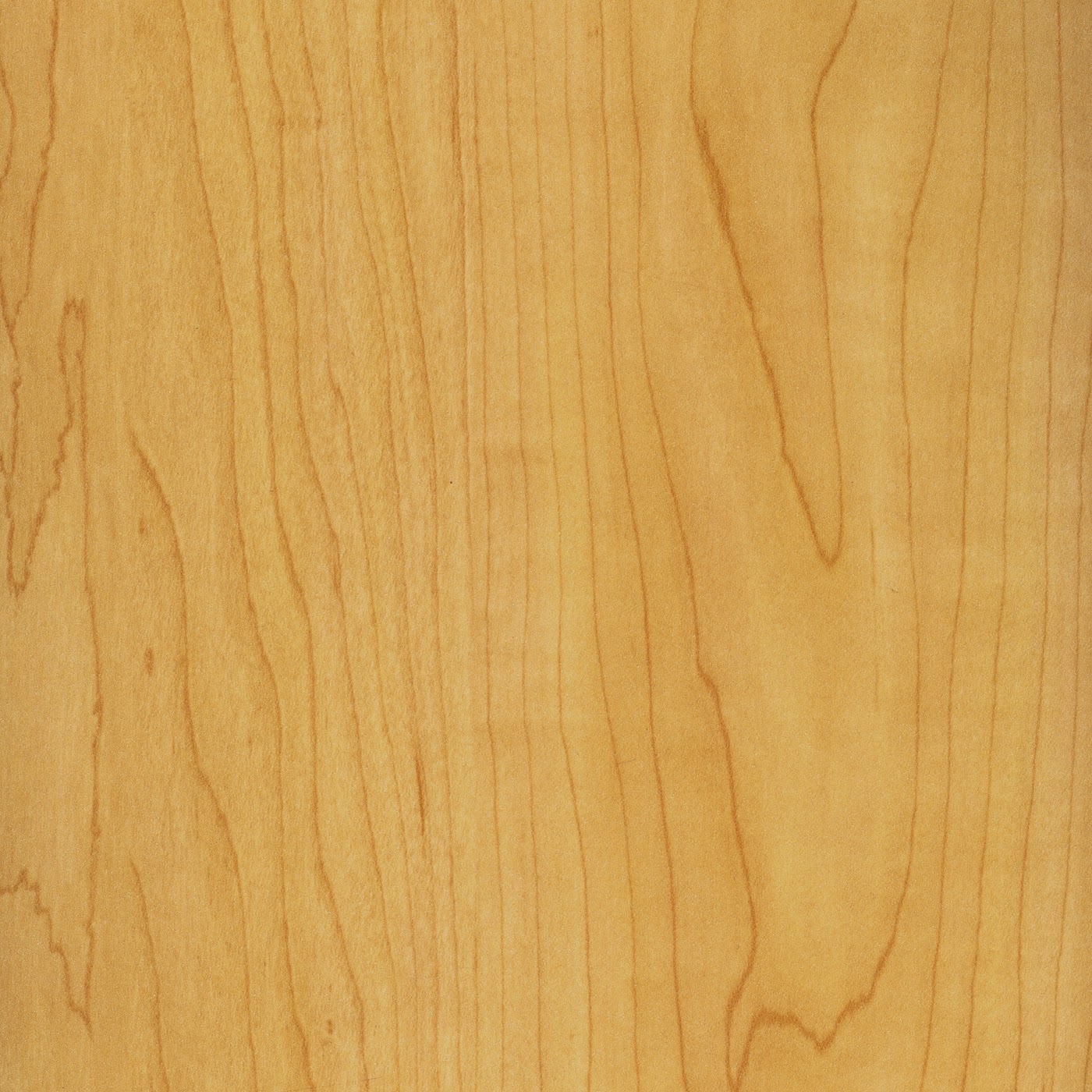 Museum Quality Picture Framing custom picture mats hand crafted