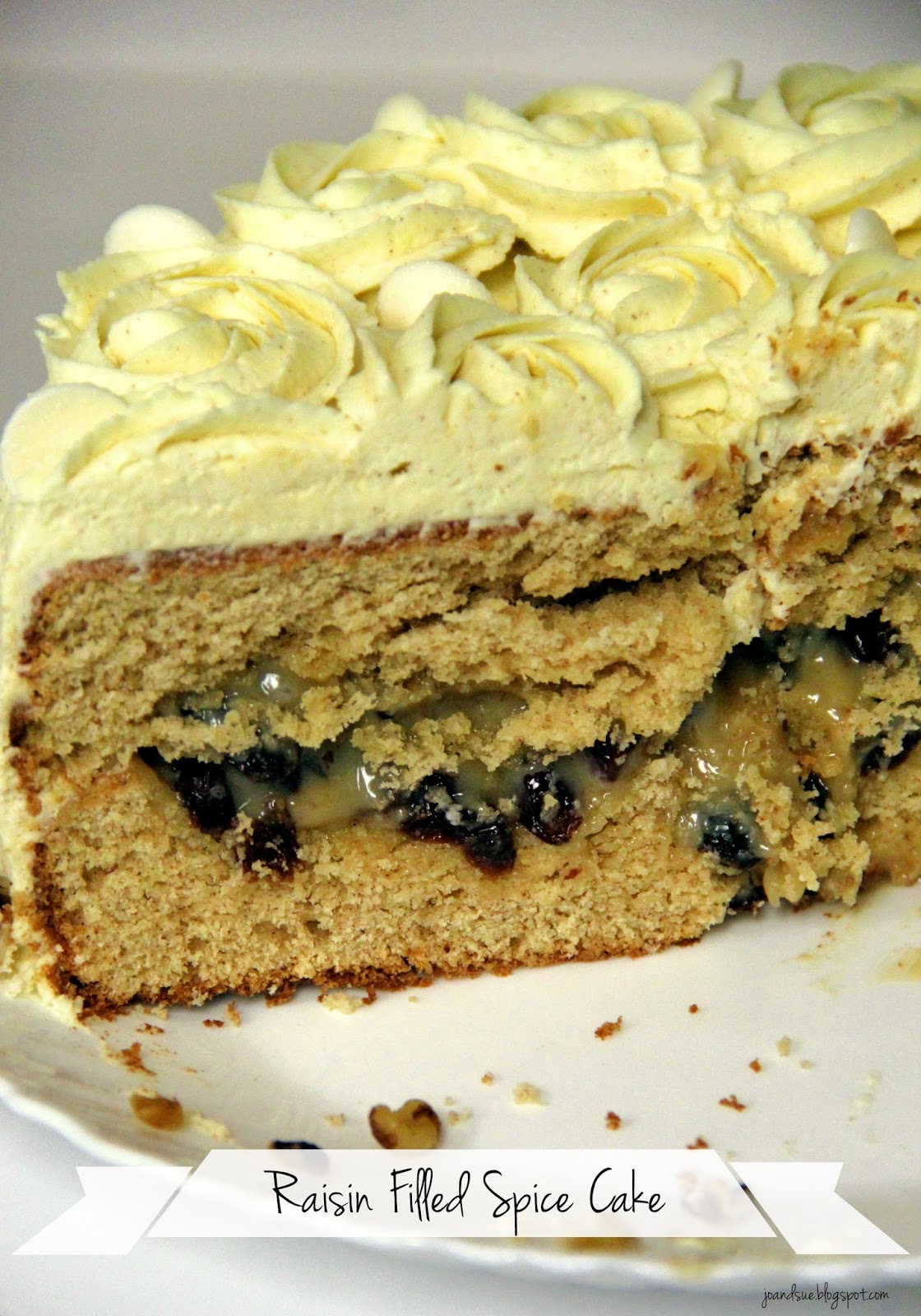 Jo and Sue Raisin Filled Spice Cake