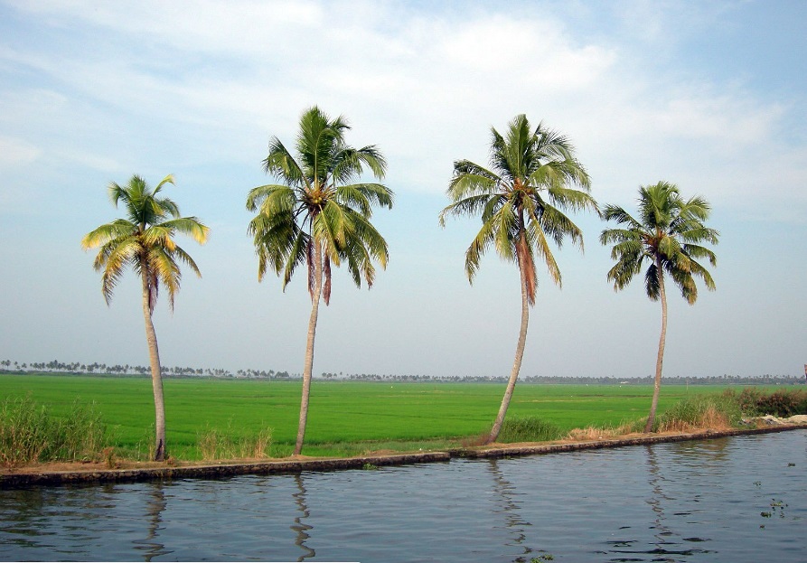 Pidato Kegamaan Tentang Menjaga Lingkungan Mas Roziq Blog