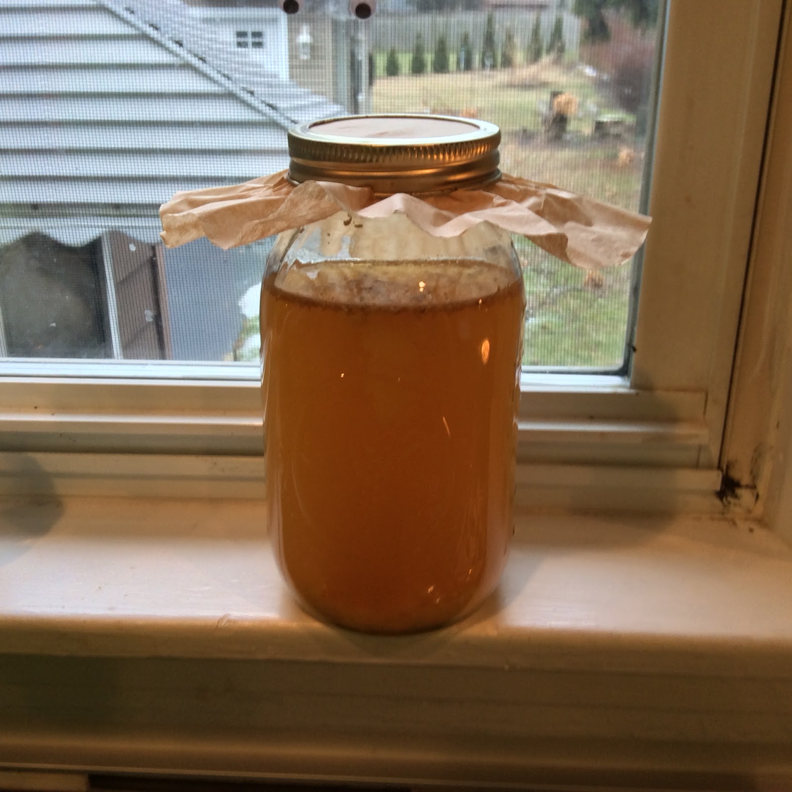 Fowl Brews Ginger Bugs, Naturally Fermented Soda