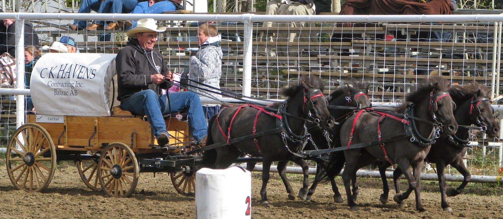 World Miniature Horses Chuck Wagon Championships Images Archival Store