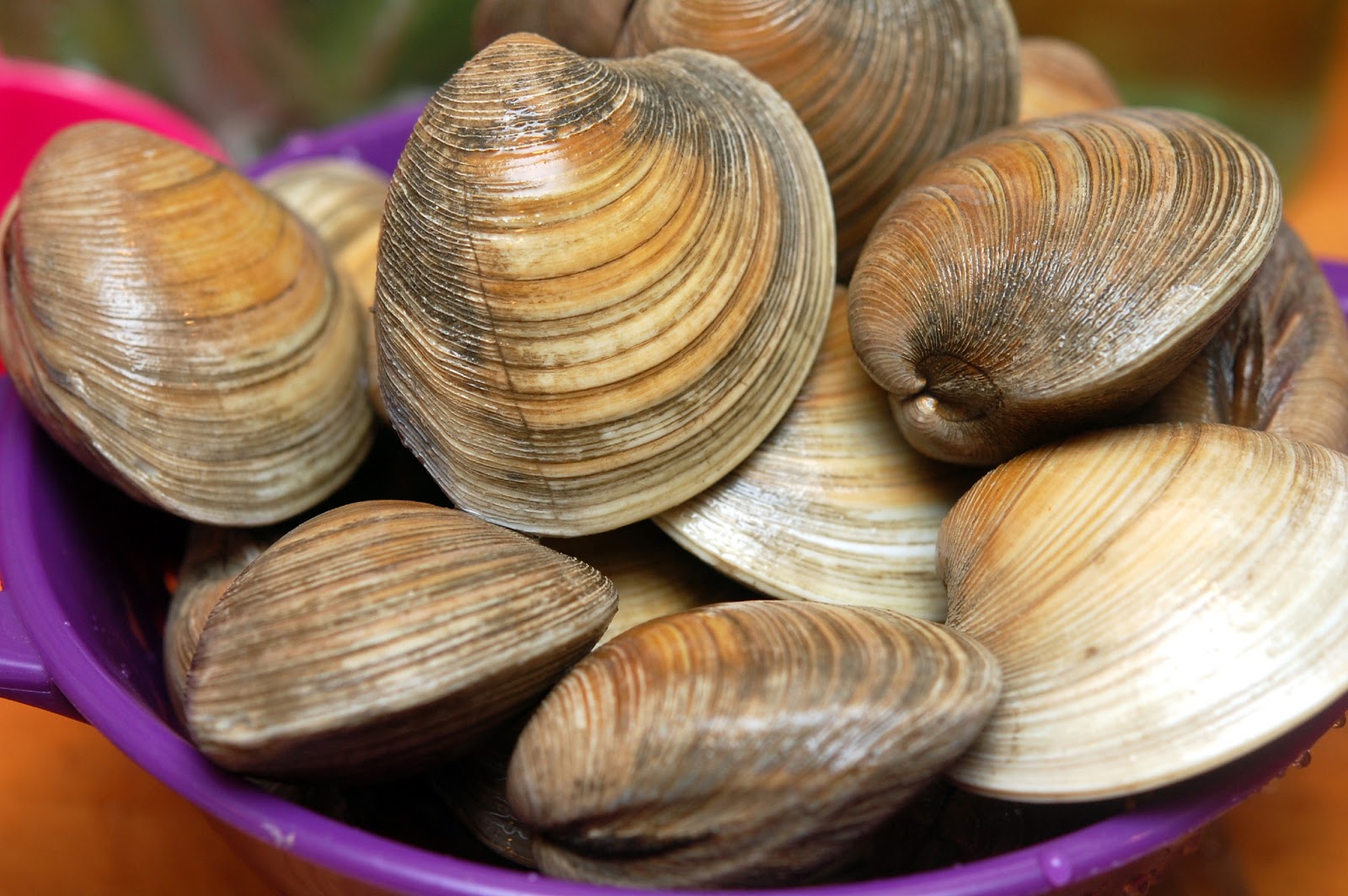 LINGUINI WITH CLAM SAUCE &amp; LITTLENECK CLAMS - Hugs and Cookies XOXO