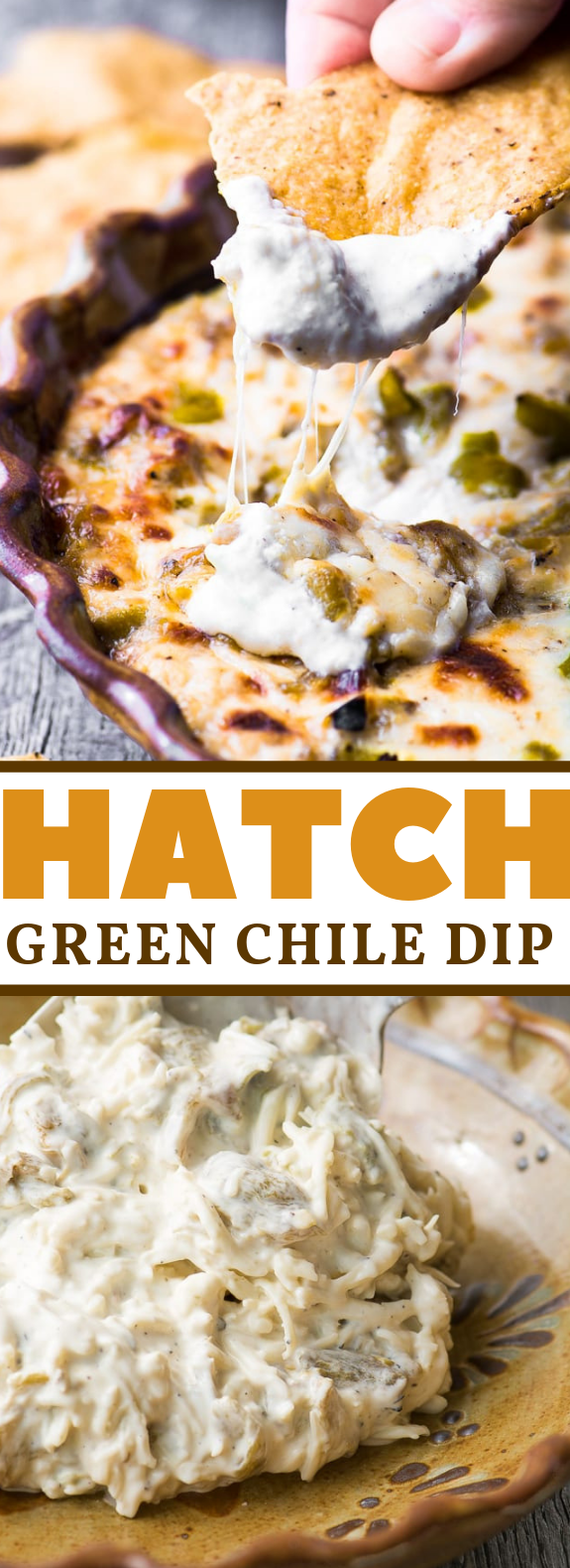 CHEESY HATCH GREEN CHILE DIP #dinner #appetizer