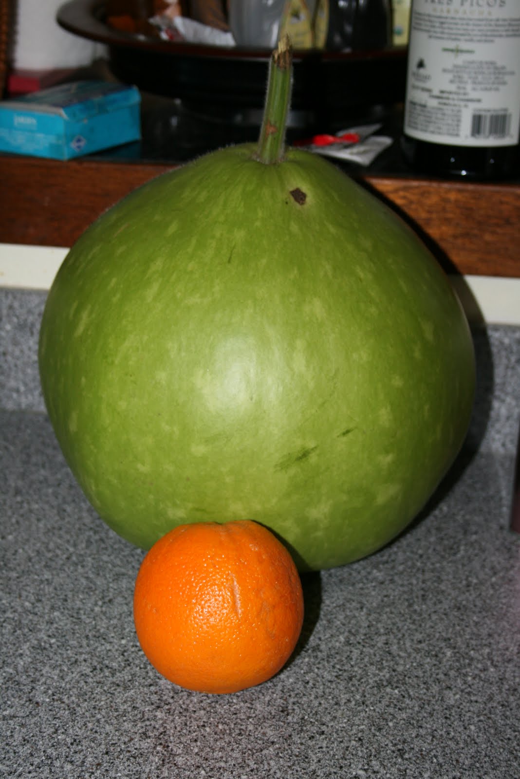 Tasty Travels... food talks, I listen GTTC Winter Melon (Squash)