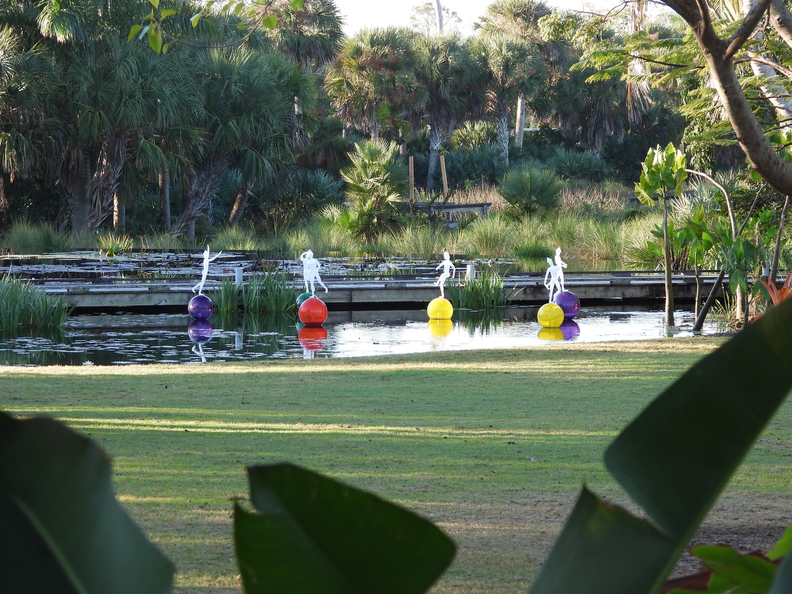 Bird & Travel Photos, Birding Sites, Bird Information: VIEWS AT NAPLES