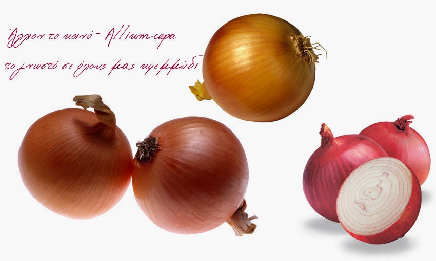 αλήθεια τι είναι το κρεμμύδι