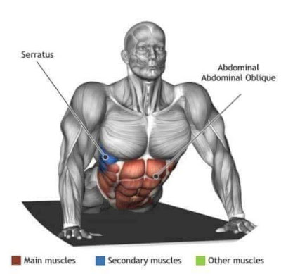 Muscles-Stretch-Exercise