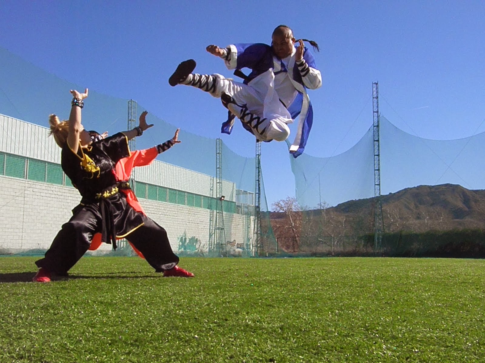 Curso - Wu Xing Quan Forma 5 animales de Shaolin