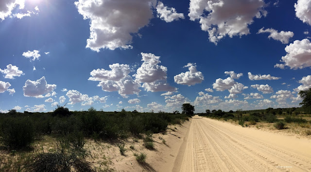A wide and flat sand track under a massive wide blue sky sporting fluffy clouds.