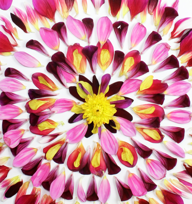 flower mandala