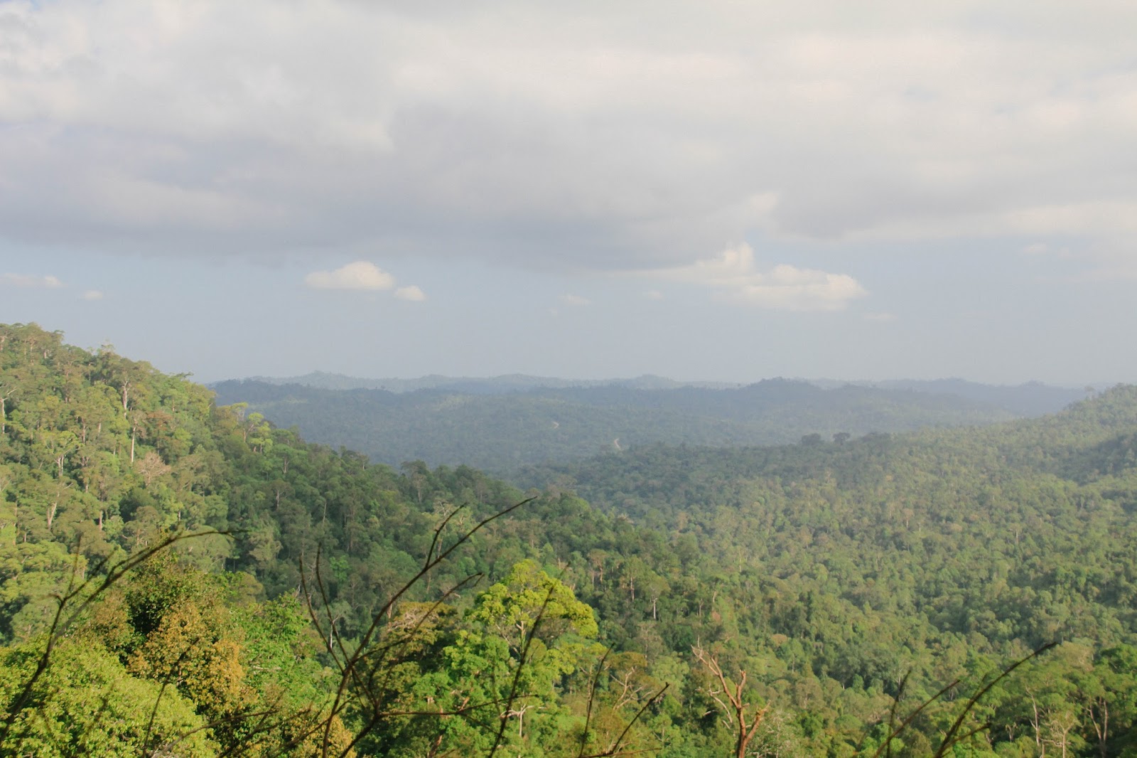 Dream and Do!: Upacara 17an di Gunung Beratus, Kutai Barat