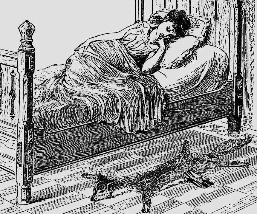 1878 bedroom 1878 bedroom illustration, foxskin rug