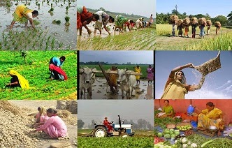 Image result for agriculture in india