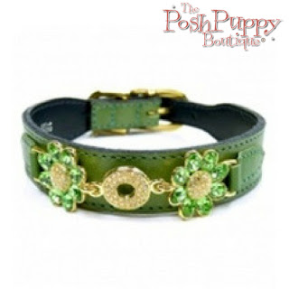 DAISY DOG COLLAR - LIME GREEN