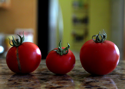 Tomato Season Recipes
