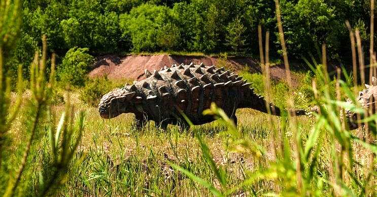 Ankilozor, 65 ila 68 milyon yıl önce Kuzey Amerika'da yaşadığı düşünülen bir dinozordur.