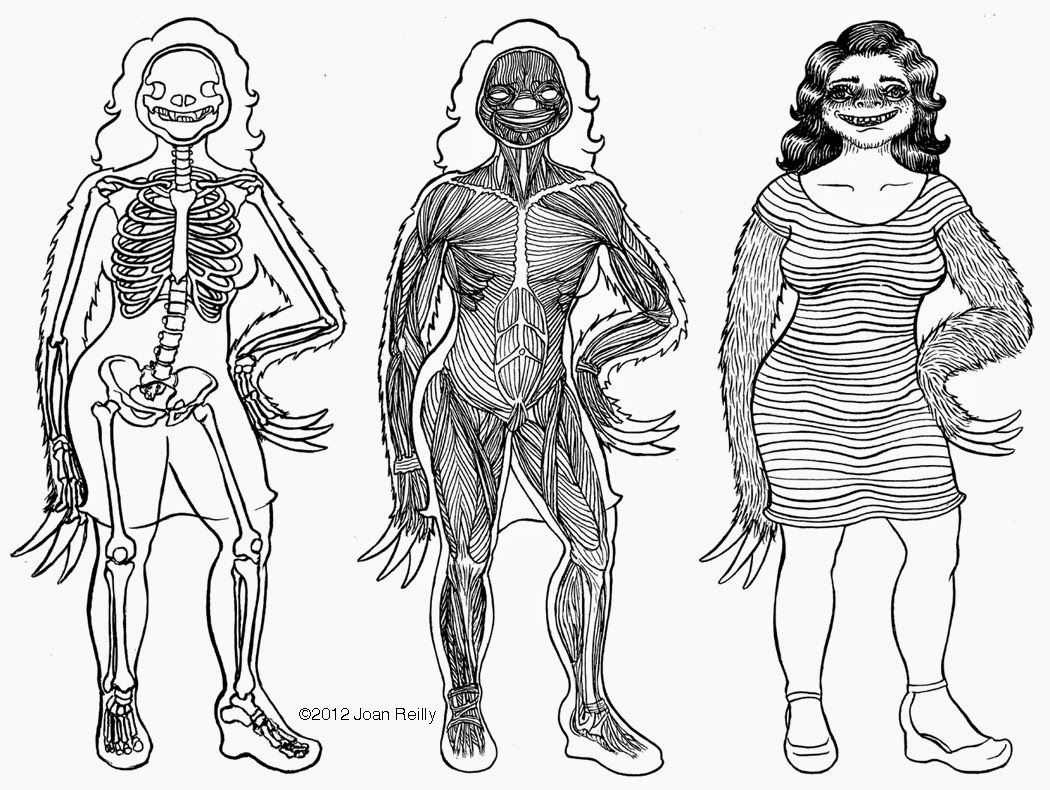 KriotaWelt: JOAN REILLY AND HUMAN-SLOTH-ANATOMY FUSION