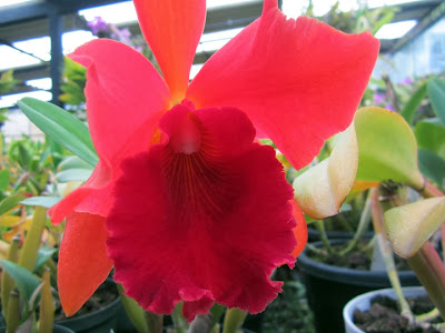 16 atracciones turísticas de Cuenca