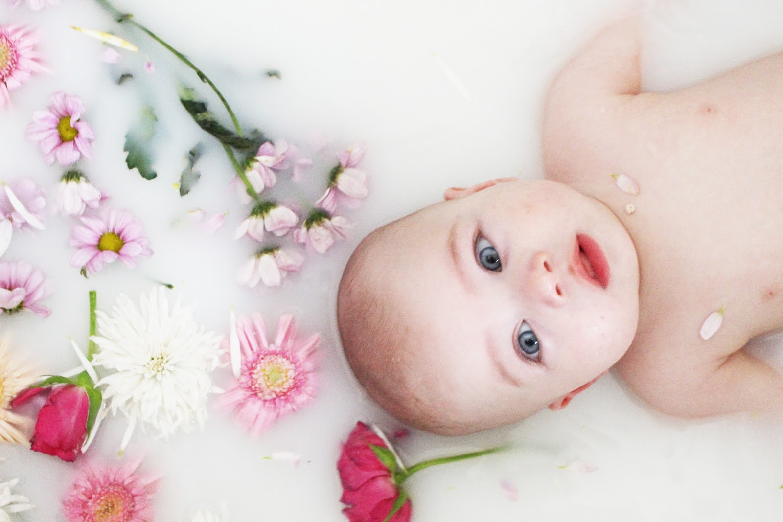 Milk Bath With 6 month old baby photoshoot pinterest what not to do Milk Bath With 6 month old baby photoshoot pinterest what not to do