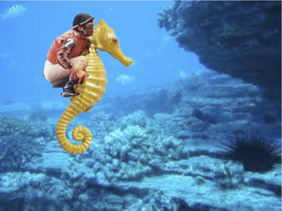 zeleina . urban fairy super bore sunday