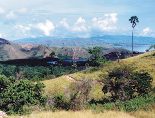 Taman Nasional Komodo Taman Nasional Komodo