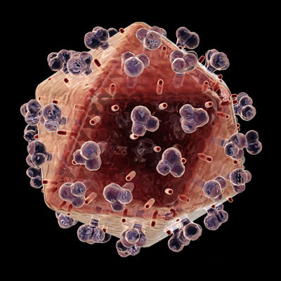 Hanya Yang Belajar Yang Berhasil: Perkembangan Virus