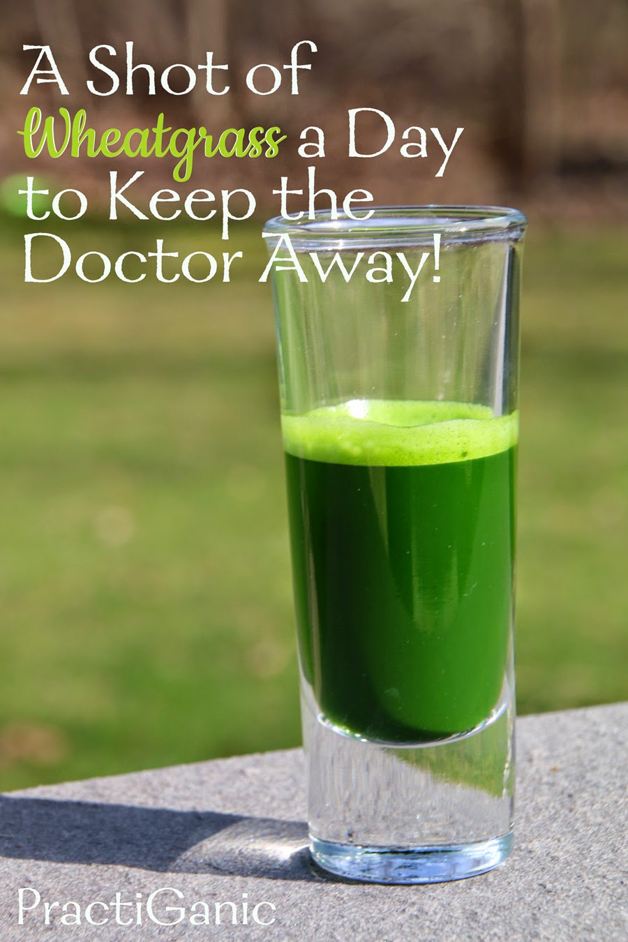 A Shot of Wheatgrass a Day Keeps the Doctor Away! PractiGanic