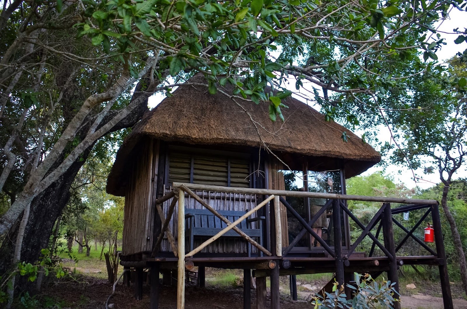 marcs treehouse camp
