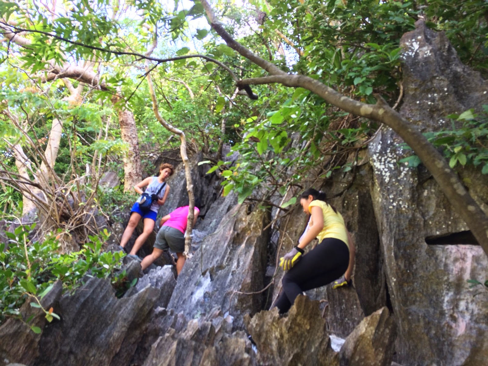 Taraw Cliff El Nido Palawan, Rock Climbing