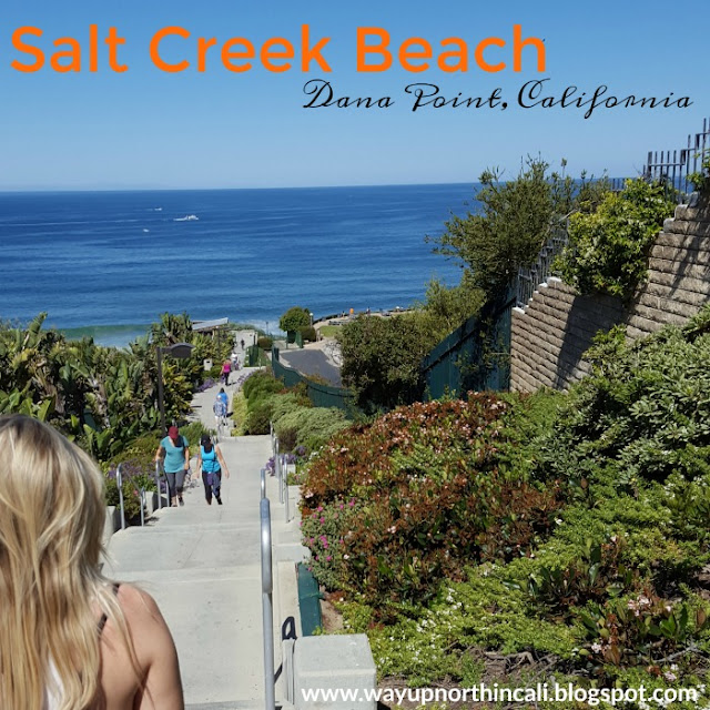 Salt Creek Beach, Dana Point, California  www.wayupnorthincali.blogspot.com