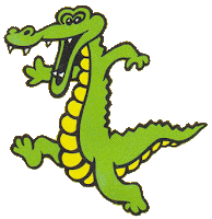 Alligator