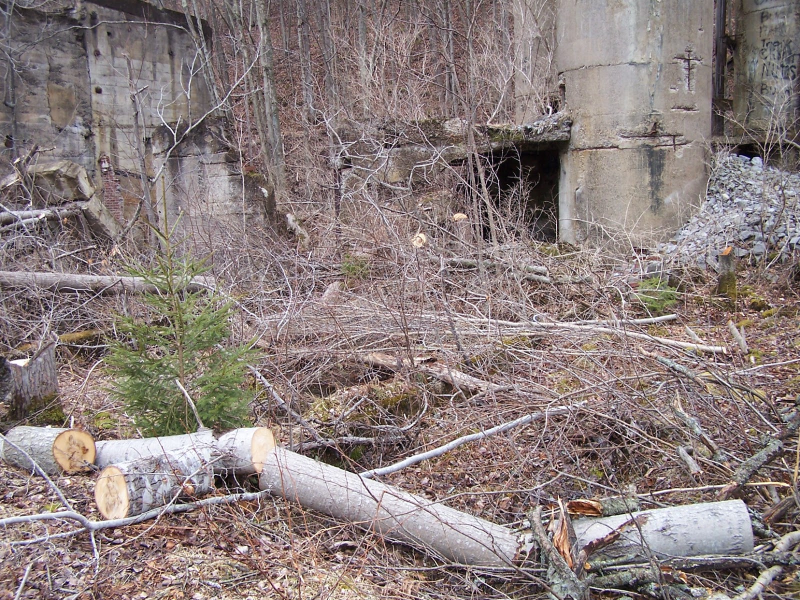 Awesome Austin The Paper Mill Ruins, Austin, Pennsylvania