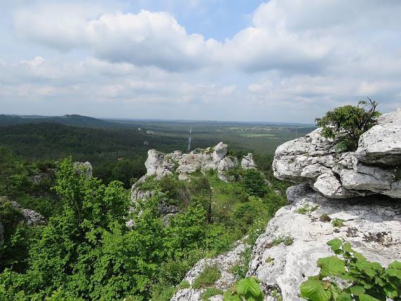 Widok na Koguty i grupę Młynarza koguty