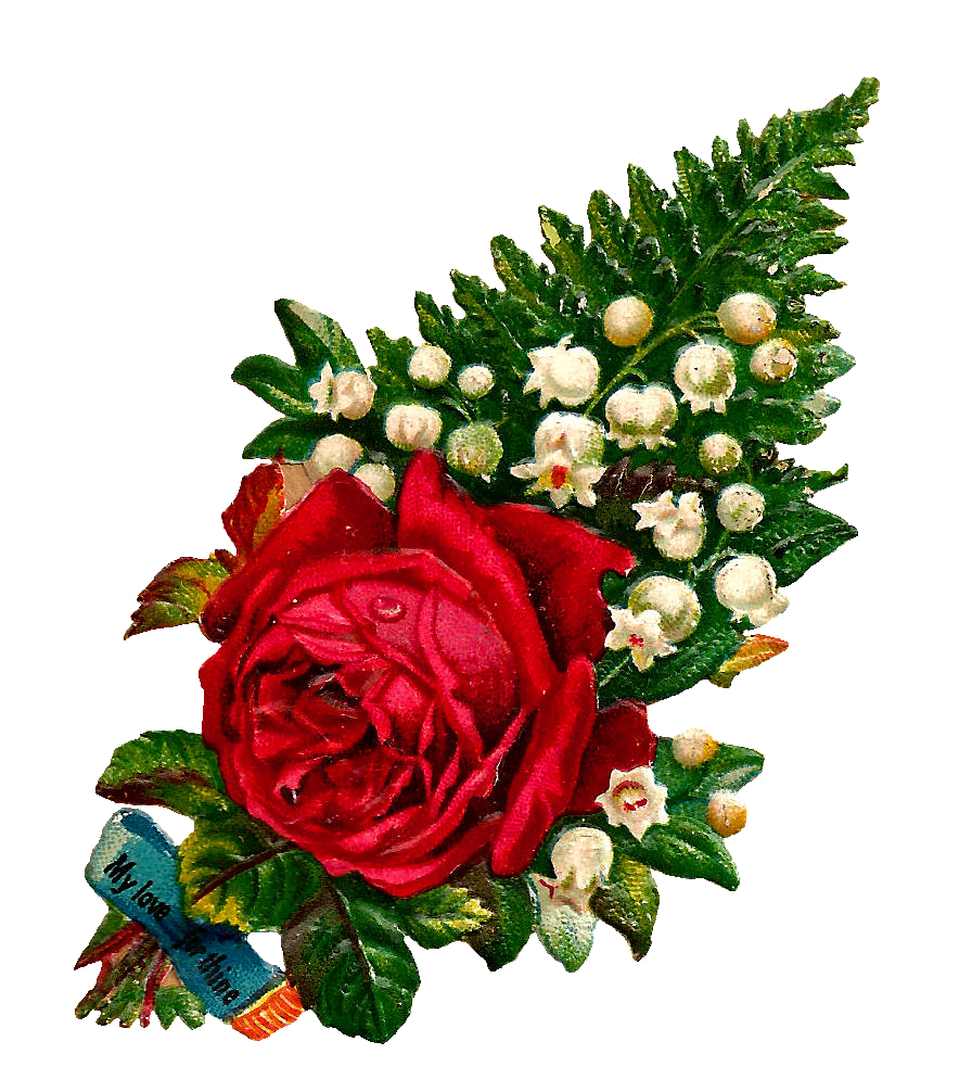 clipart rose red flower - photo #25