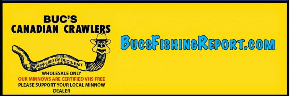 Bucs Fishing Report