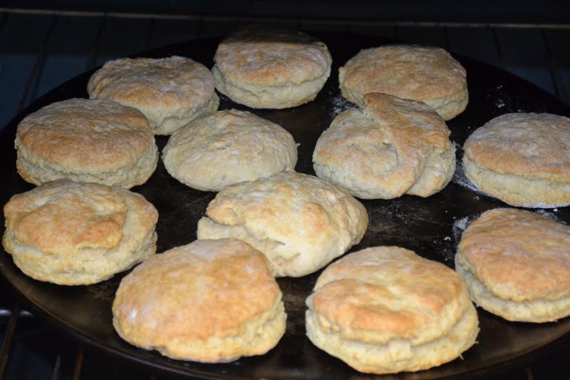 Pioneer Woman's Buttermilk Biscuits!