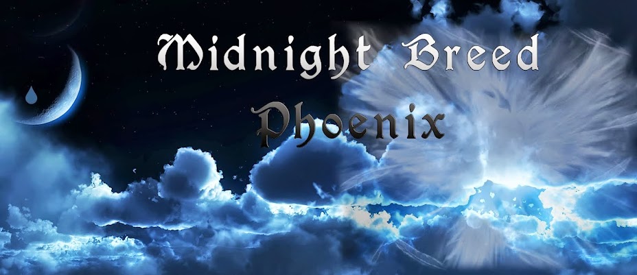 Midnight Breed Phoenix