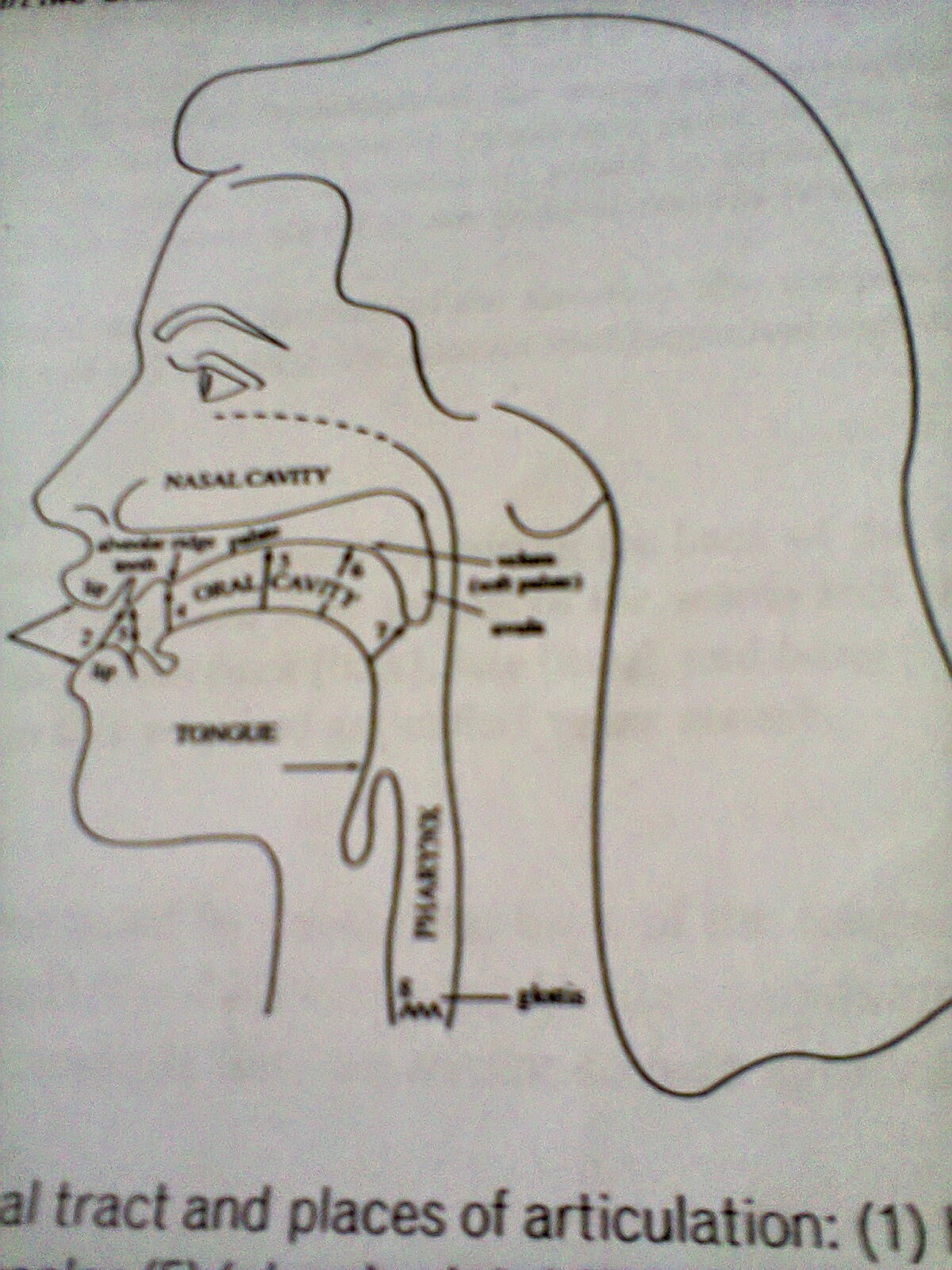 Airstream mechanisms