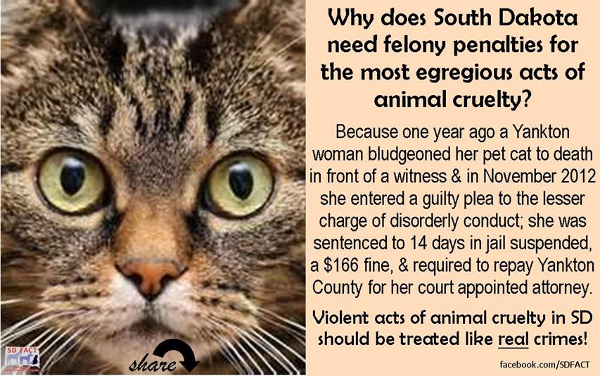 Fighting A Speeding Ticket >> SDFACT South Dakotans Fighting Animal Cruelty Together ... Fighting A Speeding Ticket >> SDFACT South Dakotans Fighting Animal Cruelty Together ...