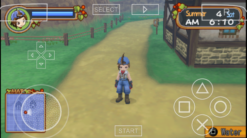 Panduan Cara Memainkan Game Harvest Moon Hero Of Leaf ...