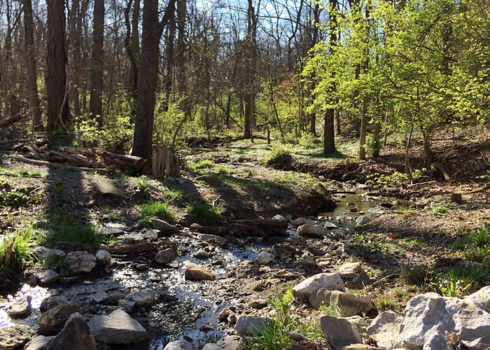 The 614ortyNiner Worthington Pizza Capital of Central Ohio?