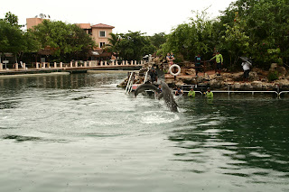México, qué padre!! - Blogs de Mexico - Dolphin discovery, Tulum y Playa Paraíso (3)