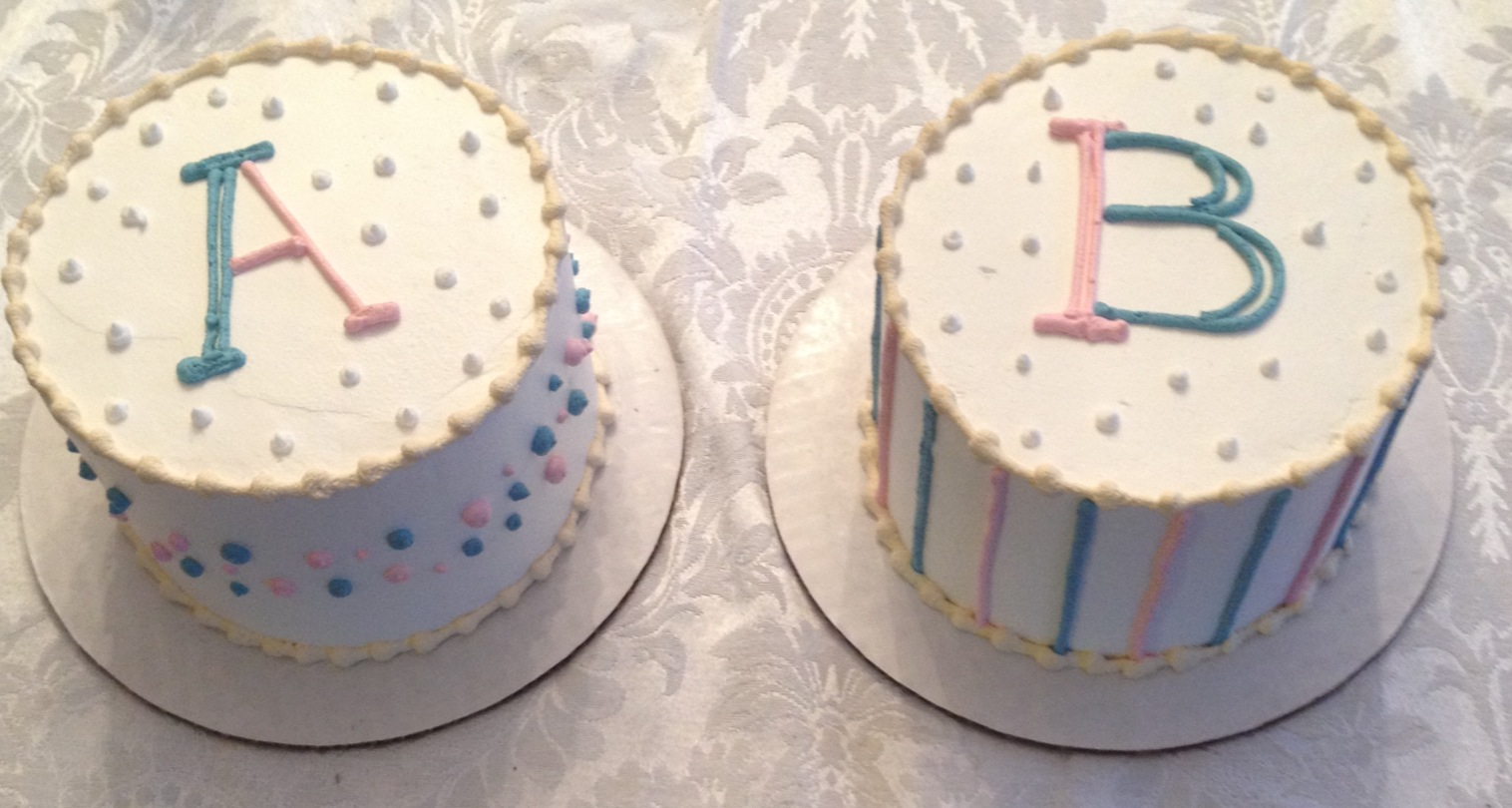 Twin Parenting Twin Gender Reveal Cake and Party!