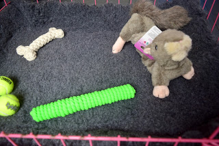 A puppy crate with lots of dog toys inside and a mat bed