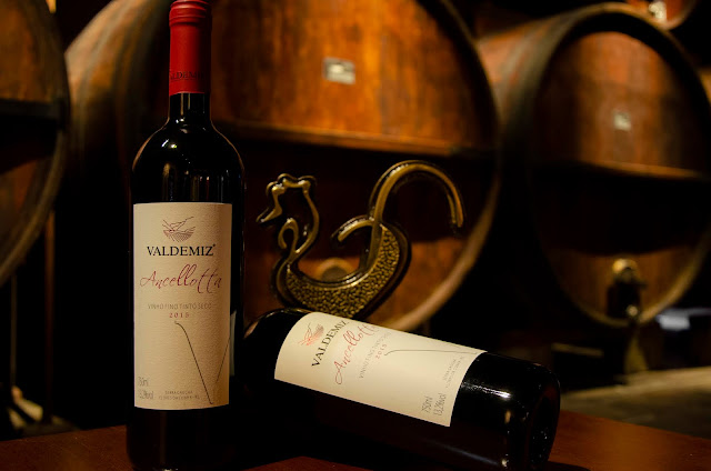De frisantes a vinhos tintos: conheça a uva Ancellotta, pouco usual no Brasil que está ganhando espaço entre as vinícolas gaúchas