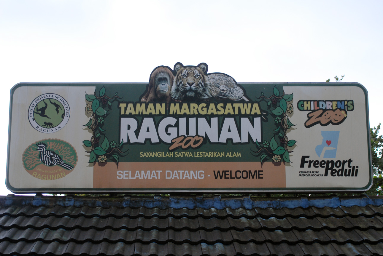 jalan menuju ragunan