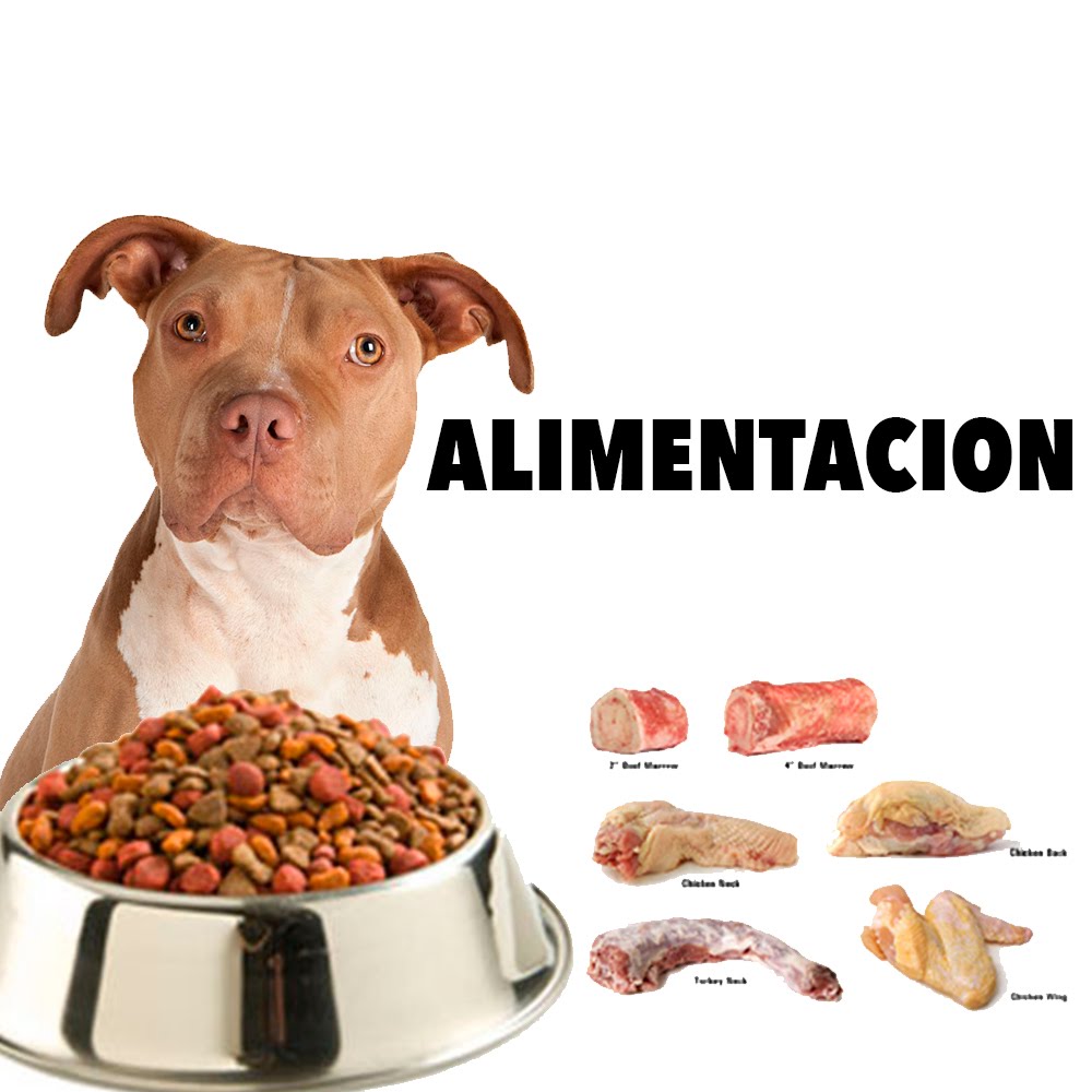 Alimentos para perros pitbull cachorros Super 4 Patas