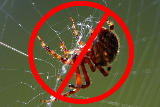 Stoltzfus Structures: 10 Tips to Keep Bugs and Critters 