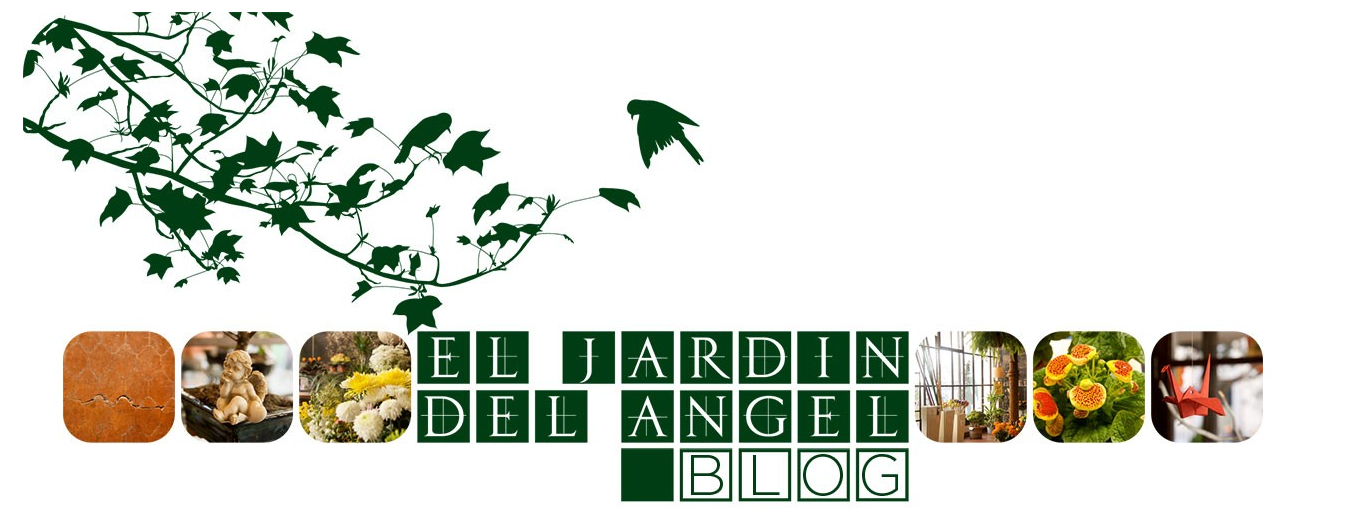 El jardin del angel