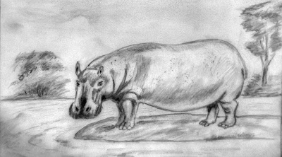 Sketch of a Hippopotamus